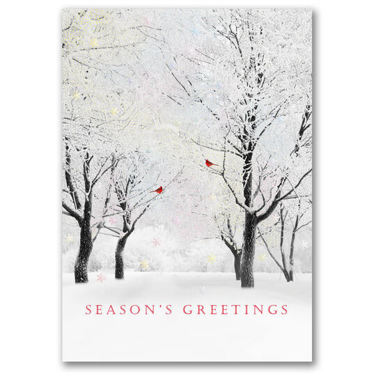 Winter Enchantment Trees Folded Holiday Cards